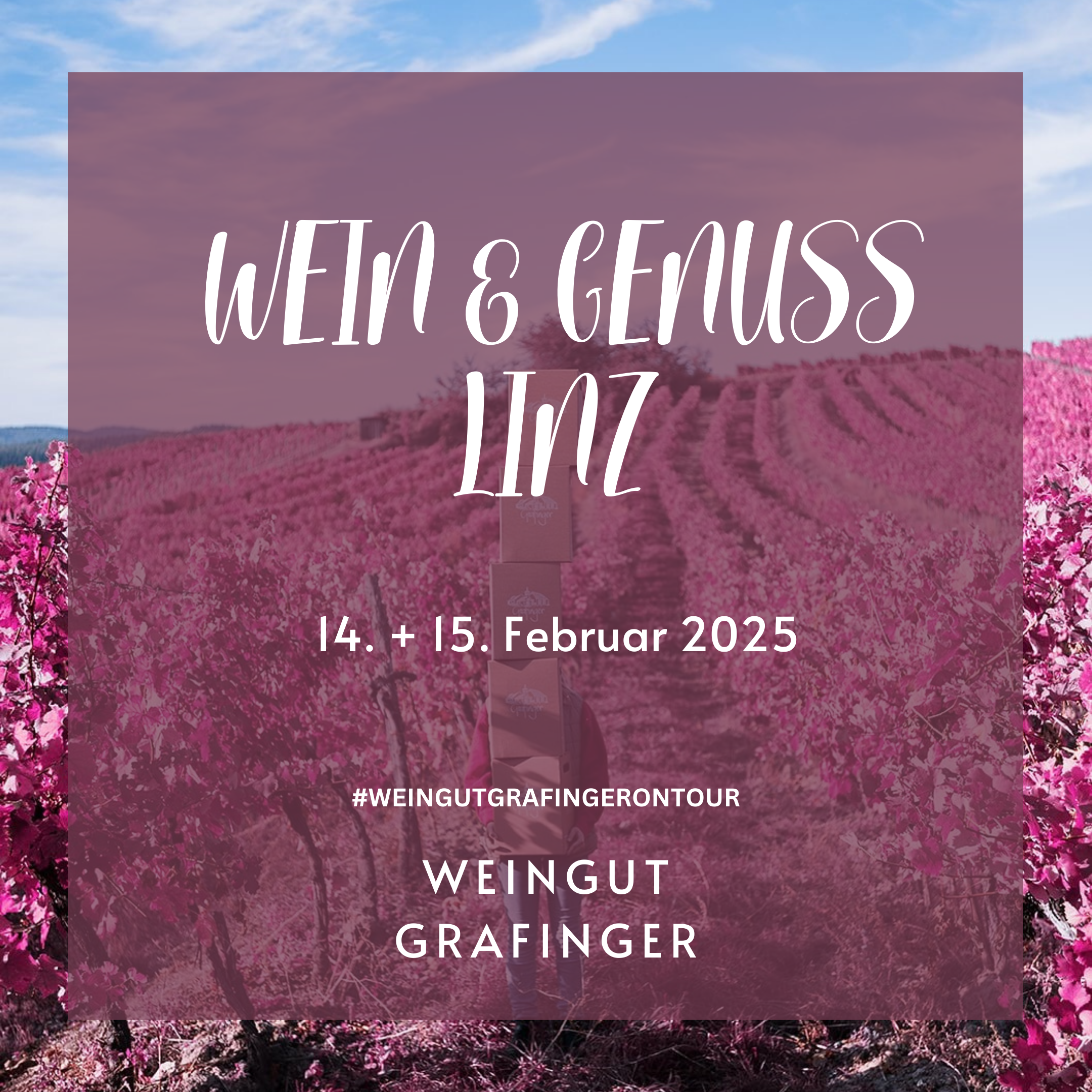 Weingut Grafinger Wein & Genuss Linz